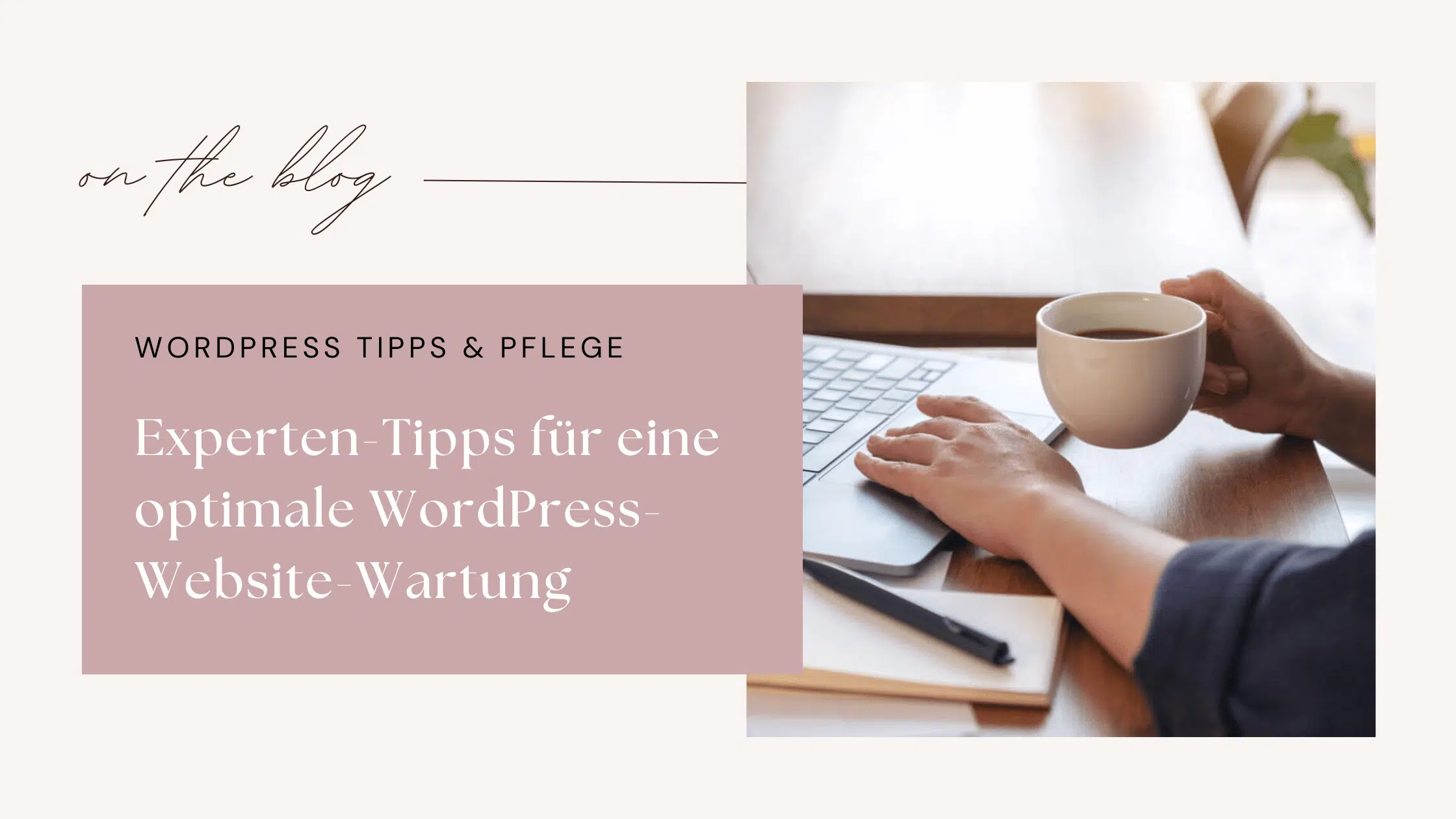 Experten-Tipps für eine optimale WordPress-Website-Wartung