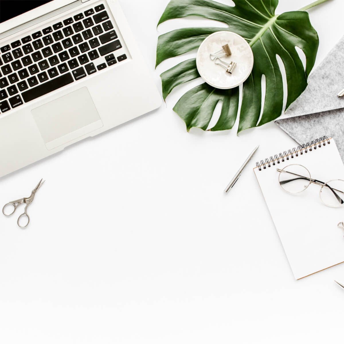 Annika Kühn – Leistungen WordPress Webdesign und Betreuung